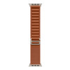 Apple 49mm Terra Cotta Alpine Loop - Small - Natural Titanium Finish | Apple
