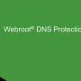Webroot | DNS Protection with GSM Console | 2 year(s) | License quantity 10-99 user(s)