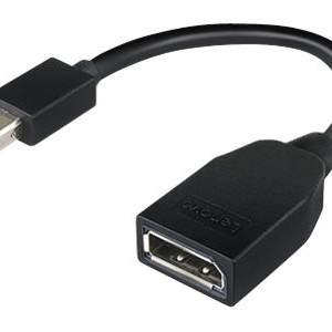 Lenovo | Mini-DisplayPort uz DisplayPort adapteris | Mini-DisplayPort | DisplayPort