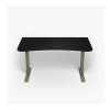 Arozzi Gaming Galda | Arena Medium | Forest Green