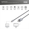 Digitus | Divvirzienu adaptera kabelis | DB-300334-010-S | USB-C uz DisplayPort