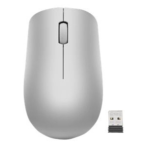 Lenovo | Wireless Mouse | 530 | Optical Mouse | 2.4 GHz Wireless via Nano USB | Platinum Grey | 1 year(s)