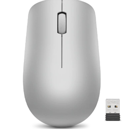 Lenovo | Wireless Mouse | 530 | Optical Mouse | 2.4 GHz Wireless via Nano USB | Platinum Grey | 1 year(s)