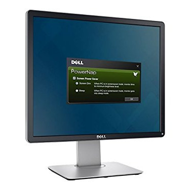 Dell | Professional | P1917S | 19