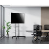 Neomounts Floor stand | FL50-540BL1 TV ratiņš | Regulējams augstums, slīpums | 37-70