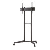 Neomounts Floor stand | FL50-540BL1 TV ratiņš | Regulējams augstums, slīpums | 37-70