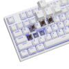 Genesis | THOR 404 TKL | Mechanical Gaming Keyboard | Wired | US | Kailh Box Brown V2 | White