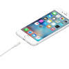 Apple Lightning — USB kabelis (1 m) | Apple