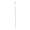 Apple Lightning — USB kabelis (1 m) | Apple
