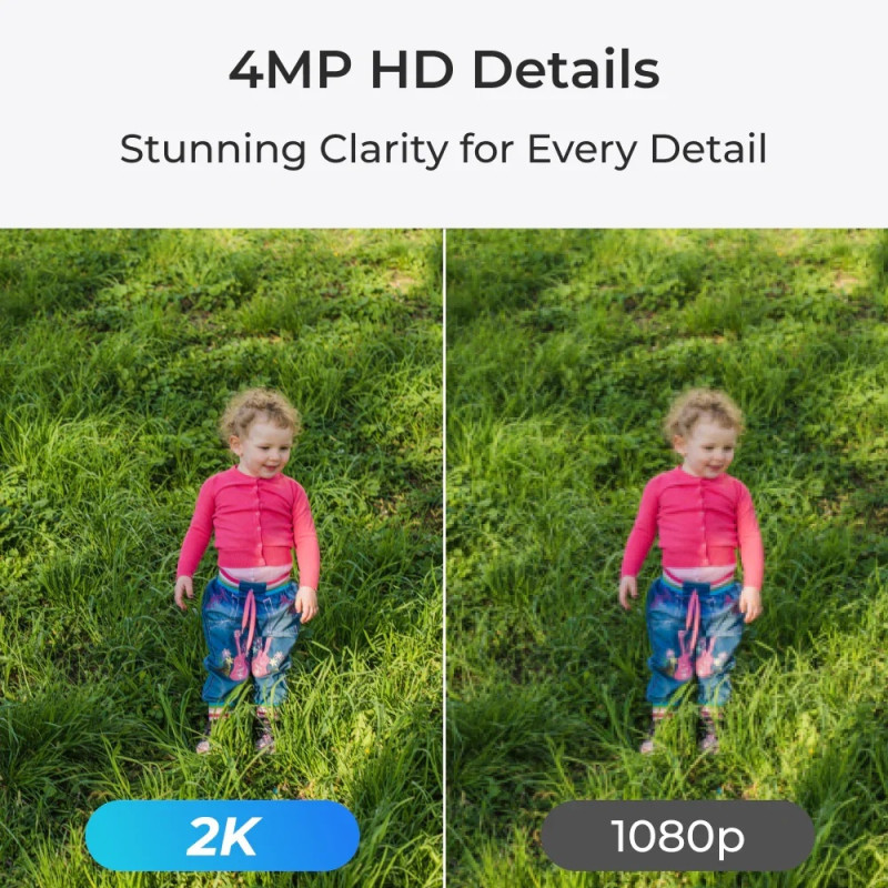 Reolink | E Series E330 | PTZ | 5 MP | 4mm/F1.6 | Micro SD, max. 512 GB