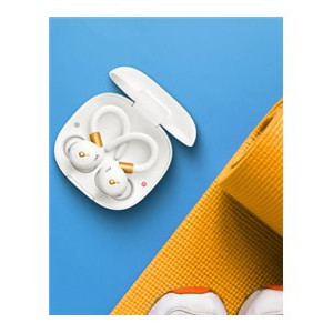 Anker Soundcore | Ausu austiņas ar āķi | Sport X20 | Bluetooth | ANC | Balts/Zelts