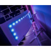 Philips | Gaming monitors | 49M2C8900/00 | 48.9