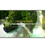 LG 4K UHD Signage | 55UL3Q-E | 55