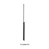 Lenovo ThinkPad T16 G5 AMD | Melns | 16