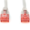 CAT 6 U-UTP Slim komunikācijas kabelis | Patch cord | Caurspīdīgs sarkans savienotājs vieglai 6. kategorijas (250 MHz) identifikācijai. Iekšējie vadītāji: vara (Cu) | Pelēks | 2 m | Moduālais RJ45 (8/8) spraudnis