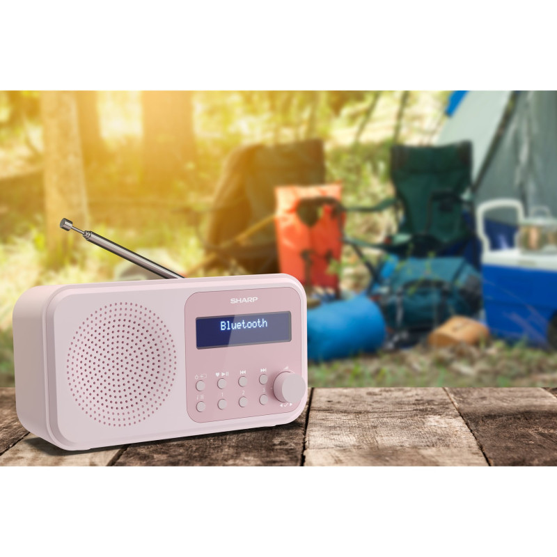Sharp | Tokyo Digital Radio | DR-P420(PK) | Bluetooth | Wireless connection | Portable | Pink